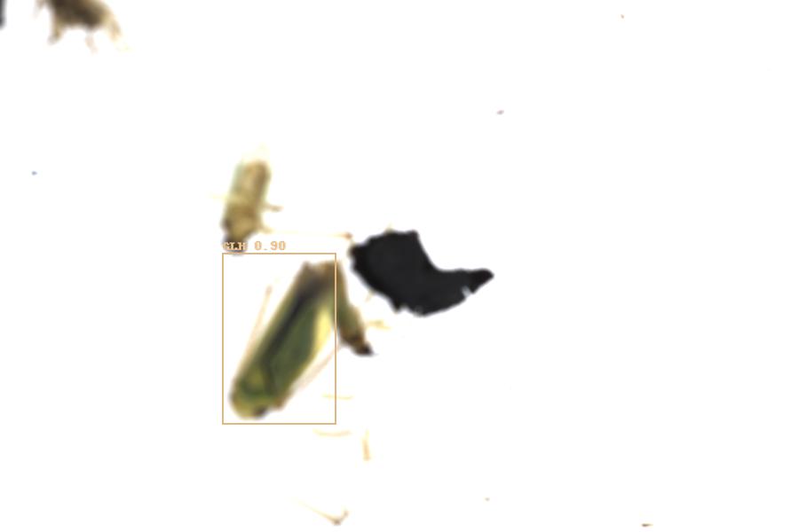 Image 34